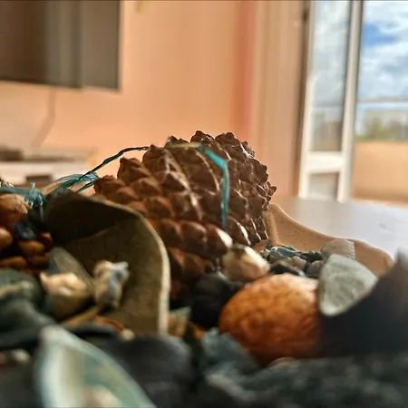 Golden - Menada Apartament Słoneczny Brzeg